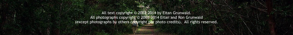 All text copyright � 2003-2014 by Eitan Grunwald.   All photographs copyright � 2003-2014 Eitan and Ron Grunwald  (except photographs by others copyright per photo credits).  All rights reserved.