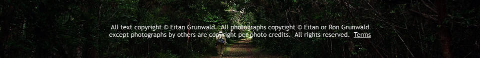 All text copyright � Eitan Grunwald.  All photographs copyright � Eitan or Ron Grunwald  except photographs by others are copyright per photo credits.  All rights reserved.  Terms
